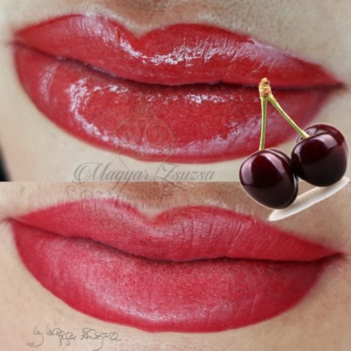 PicsArt_02-23-11.41.31 lips satin black cherry