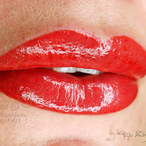 magyarzsuzsa_lips_satincarmen15 ips satin carmen